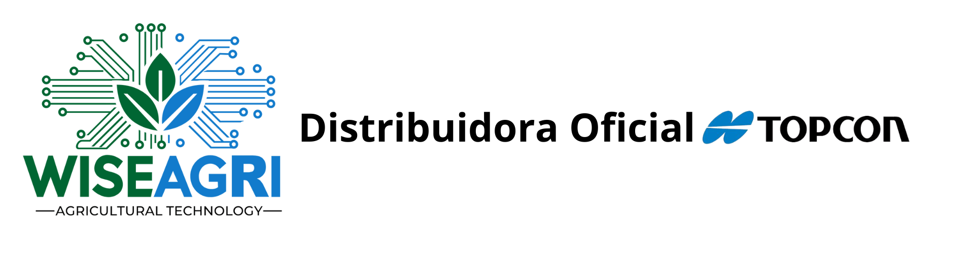 Dany Iluminação (1).png